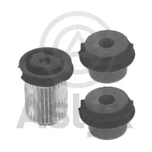 AS-202419 Aslyx