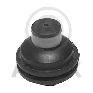 AS203094 Aslyx