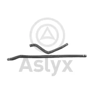 509739 Aslyx