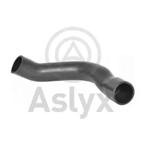 510039 Aslyx