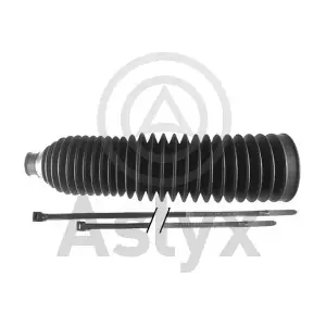 101369 Aslyx