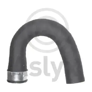 AS-204512 Aslyx