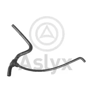 109401 Aslyx