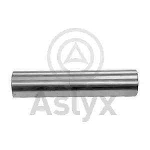 202028 Aslyx
