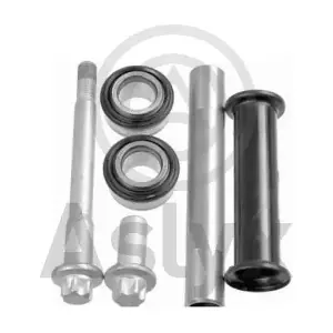 AS-202424 Aslyx