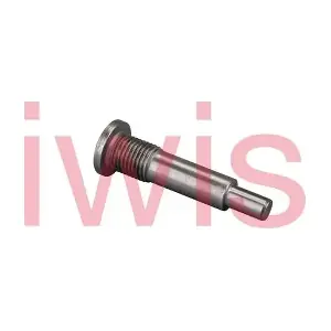 60198 iwis Motorsysteme