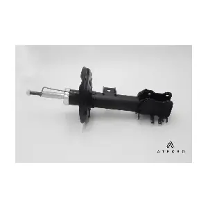 AMT00110 ATECSO