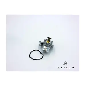 TRM00130 ATECSO