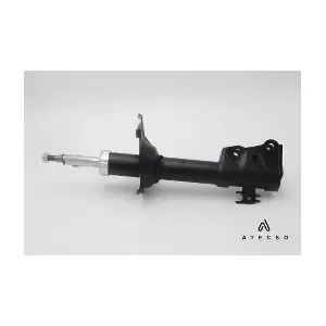 AMT00147 ATECSO