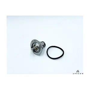 TRM00233 ATECSO