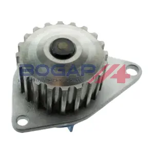 P4234111 BOGAP