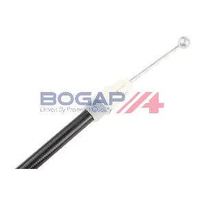 C3126121 BOGAP