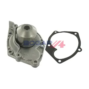 W4234121 BOGAP