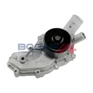 C4234135 BOGAP
