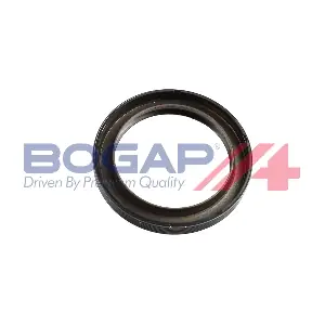 A1119107 BOGAP