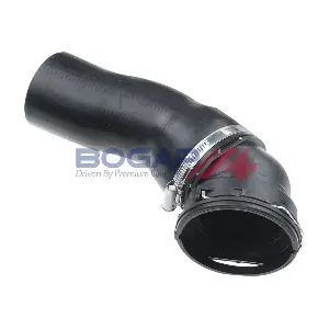 B1711161 BOGAP