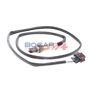 L6119100 BOGAP