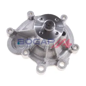 C4234113 BOGAP