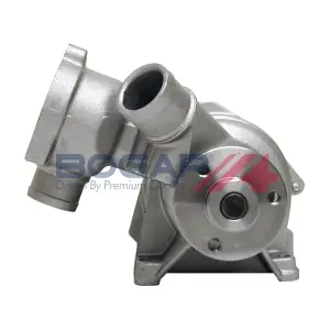 C4234137 BOGAP