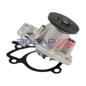 R4234118 BOGAP