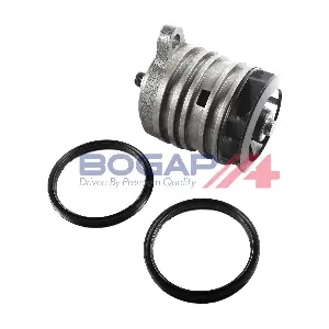A4234181 BOGAP