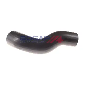 C1711148 BOGAP