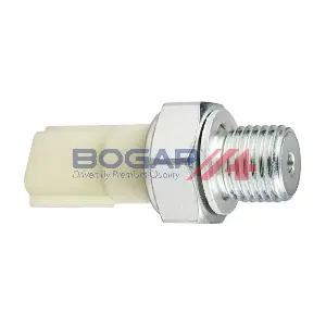 N6123100 BOGAP