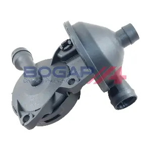 B1216109 BOGAP
