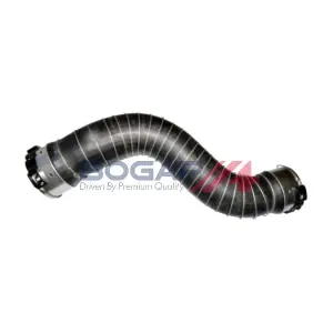 B1711148 BOGAP