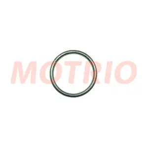 8550503813 MOTRIO