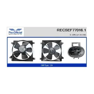 RECSEF77016.1 RECOFICIAL