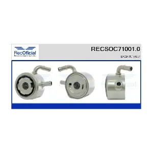 RECSOC710010 RECOFICIAL