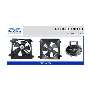 RECSEF77017.1 RECOFICIAL