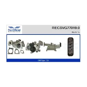 RECSVG77019.0 RECOFICIAL