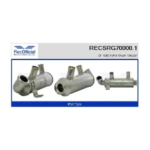RECSRG70000.1 RECOFICIAL