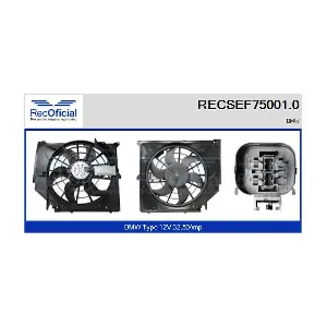 RECSEF75001.0 RECOFICIAL