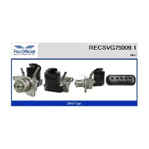 RECSVG75009.1 RECOFICIAL