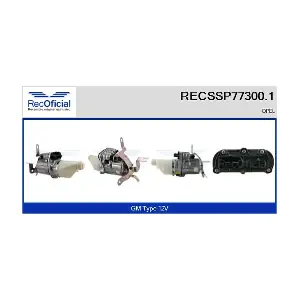 RECSSP77300.1 RECOFICIAL