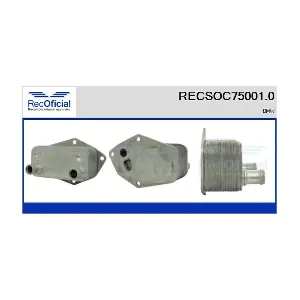 RECSOC75001.0 RECOFICIAL