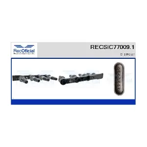 RECSIC77009.1 RECOFICIAL
