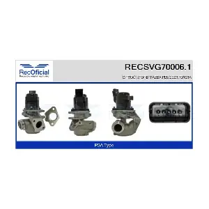 RECSVG70006.1 RECOFICIAL