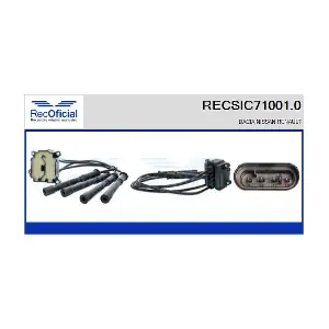 RECSIC71001.0 RECOFICIAL