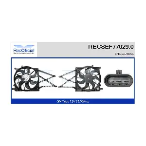 RECSEF77029.0 RECOFICIAL