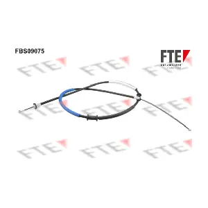 9250295 FTE
