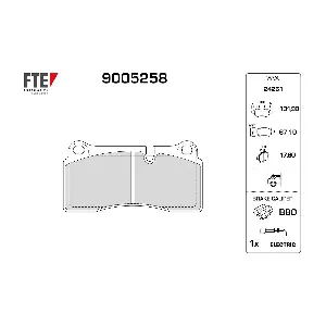 9005258 FTE