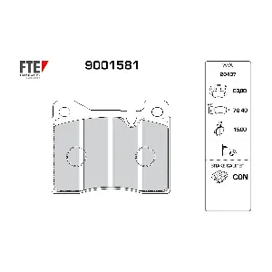 9001581 FTE