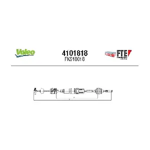 4101818 FTE