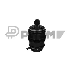 P753142 PLYOM