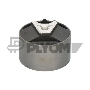 P031696 PLYOM