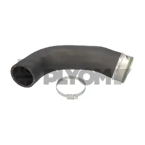 P753232 PLYOM